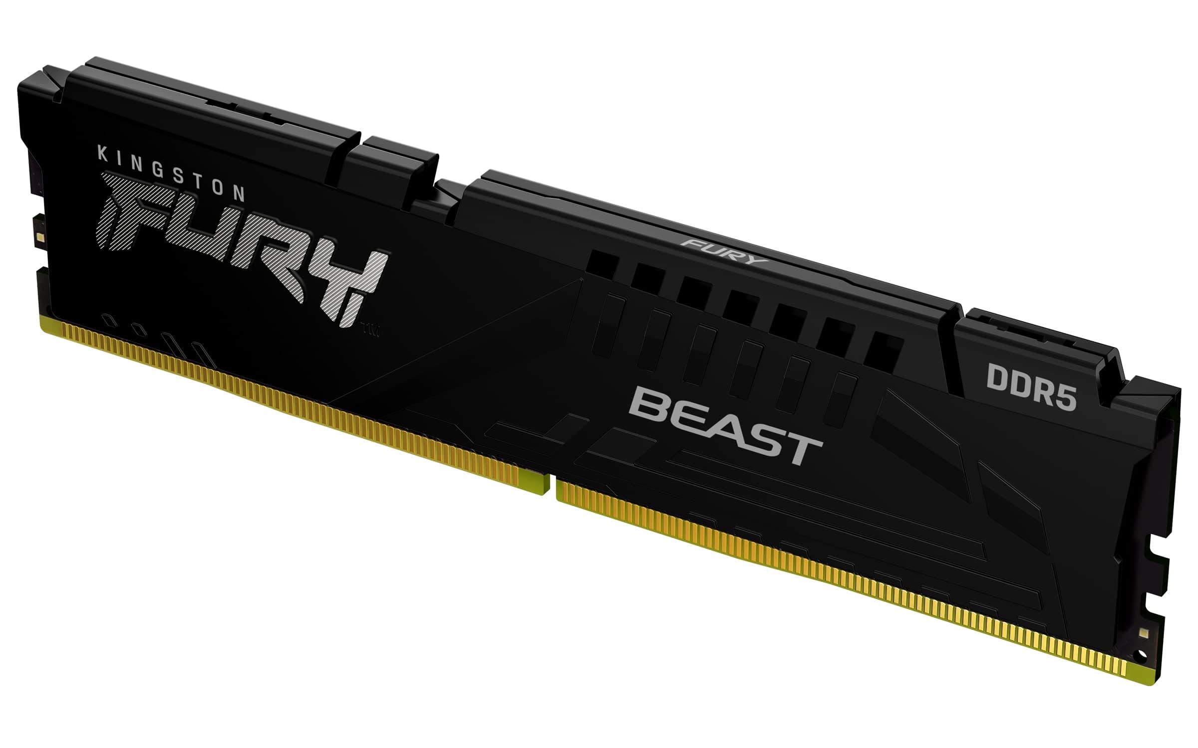 Kingston FURY Beast 64GB 5600MT/s DDR5 CL36 Desktop Memory |AMD EXPO| Single Module| KF556C36BBE-64