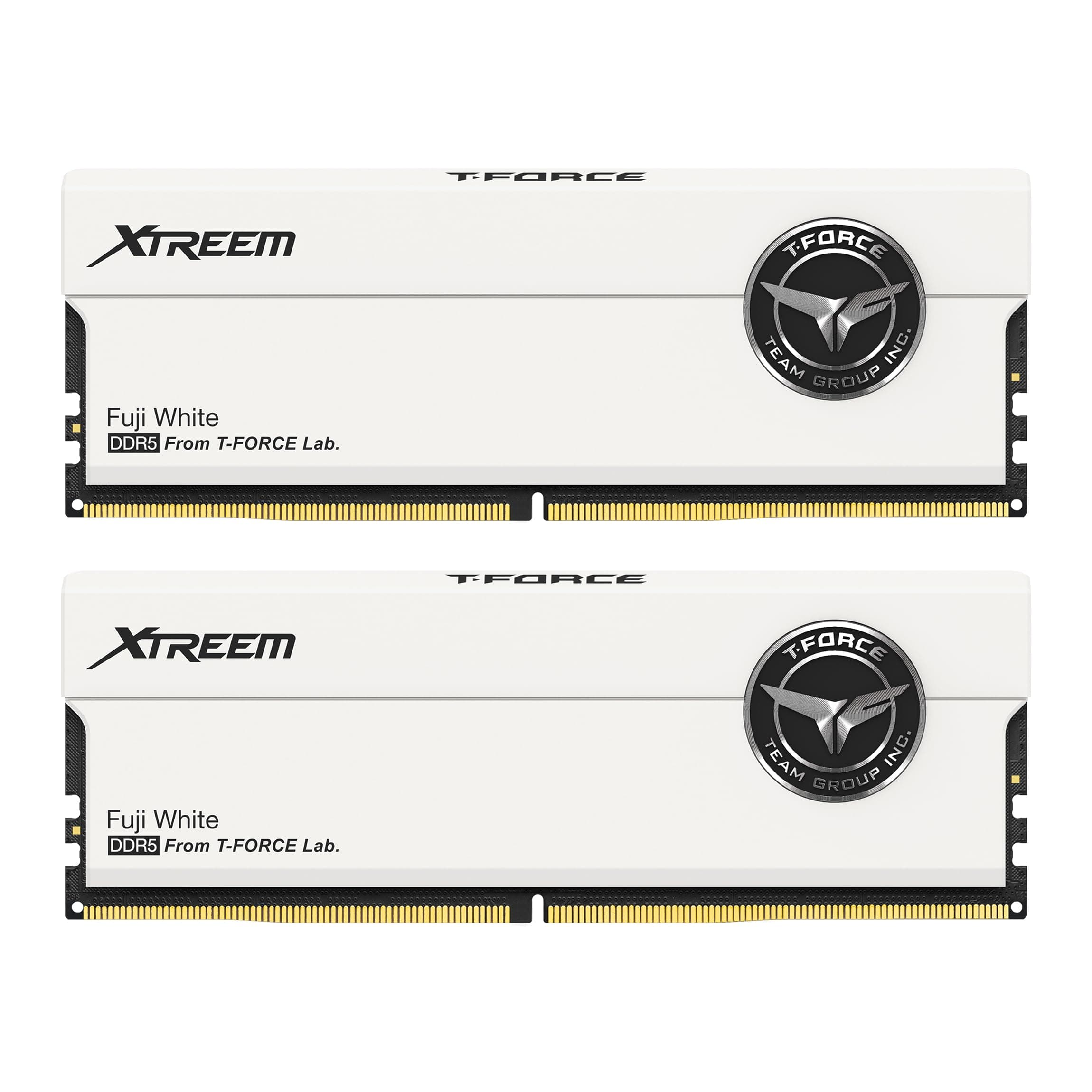 TEAMGROUP T-Force XTREEM DDR5 Ram 48GB (2x24GB) 8000MHz PC5-64000 CL38 M-DIE Desktop Memory Module Ram for Intel XMP 3.0 & AMD Expo Compatible White FFWD548G8000HC38EDC01